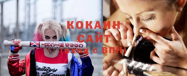 сатива Коряжма
