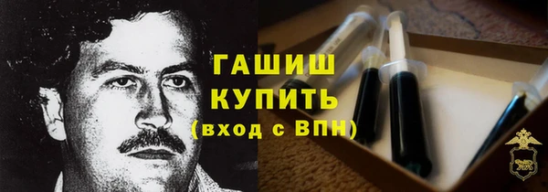 сатива Коряжма