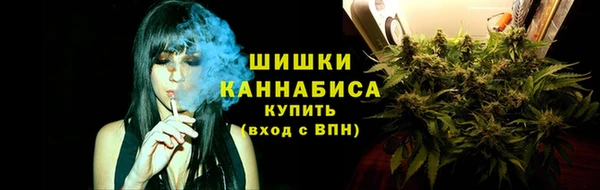твердый Магадан