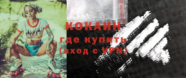 гашик Кодинск