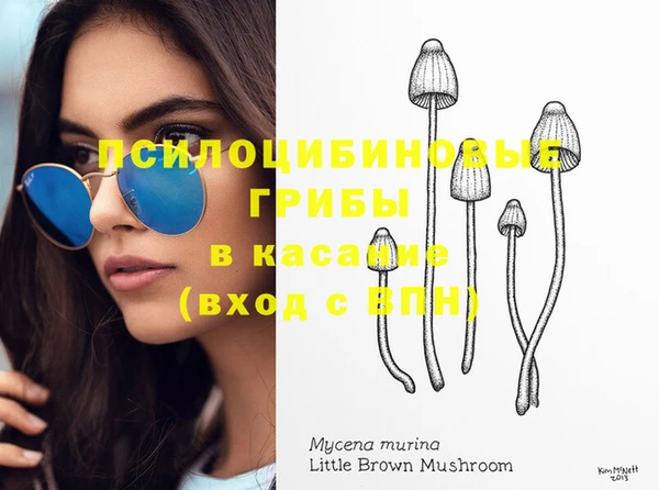 гашик Кодинск