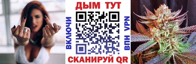Бошки Шишки ГИДРОПОН  маркетплейс наркотические препараты  Плавск  как найти наркотики 